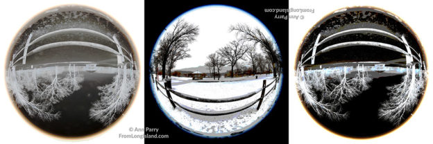 Wantagh, New York, USA. February 20, 2019. Scene of split rail wood fence and beyond at Mill Pond Park on Long Island. 180 degree fisheye view, 3 digital versions.