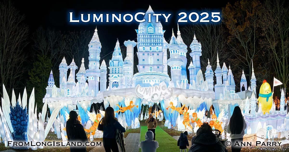 Luminosity Light Show at Eisenhower Park - © 2025 Ann Parry, FromLongIsland.com